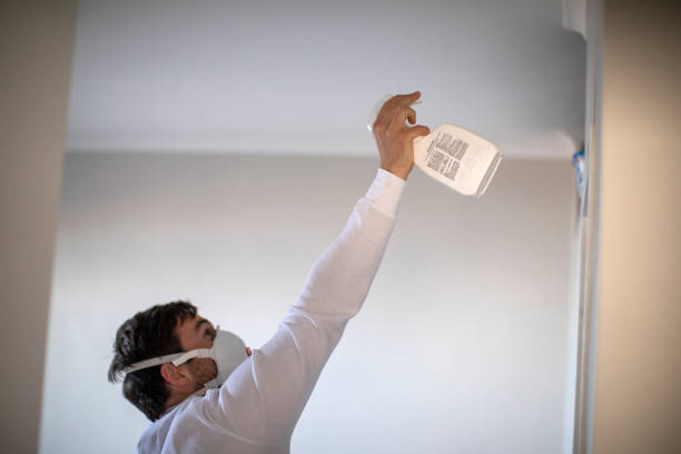 Best Affordable Mold Removal  in Mount Olive, IL