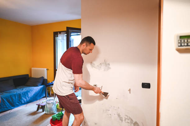 Best Mold Remediation  in Mount Olive, IL